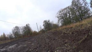 КЛУБНИКА КАК БИЗНЕС ИДЕЯ!Часть1
