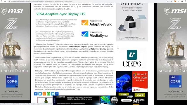 NUEVOS TIPOS DE CERTIFICACIONES VESA VRR, COMPRA UN MONITOR CON VRR SEGÚN SU RENDIMIENTO ? смотреть онлайн