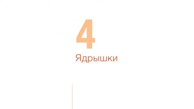 Резон продукт. Производство где жарят орехи и семечки