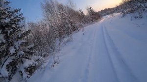 Охота на тетерева с мелкашкой. Охота с 22LR.