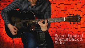 Washburn | Bella Tono Series - Vite S9V