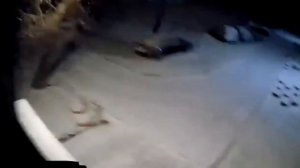 В Чечне произошло землетрясение магнитудой 5,6