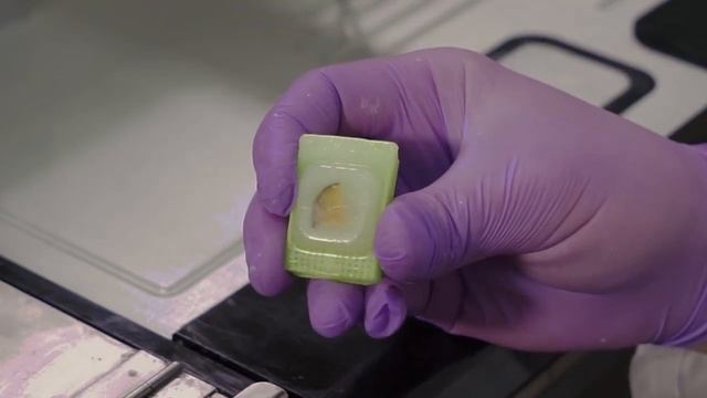 Мастер-класс по заливке смотреть онлайн