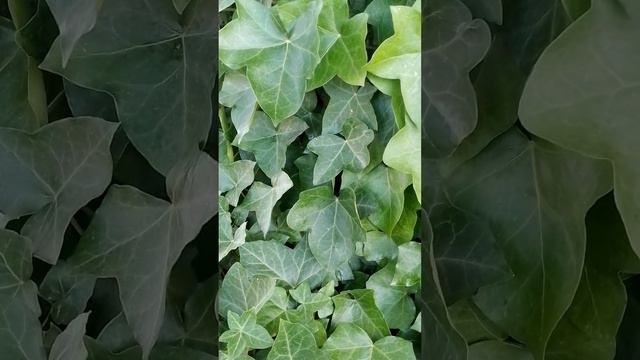 11 июля 2023 г. смотреть онлайн