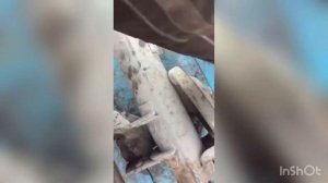 Укорачивание моста ВАЗ под колею 90 см.