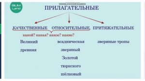 Урок русского языка, 6 класс. Разряды имен прилагательных