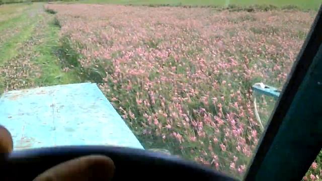 Трактор Т 40 4х4 и сегментно пальцевая сено косилка косим экспарсет смотреть онлайн