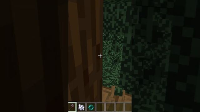 Use ender perl before chopping tree's in minecraft.