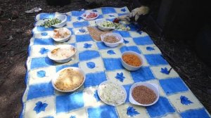 КОРМЛЕНИЕ КУР НЕСУШЕК ЛЕТОМ. Подробно, Чем кормить чтобы неслись на своём участке