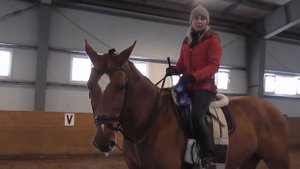 Лакомство для лошади на работе