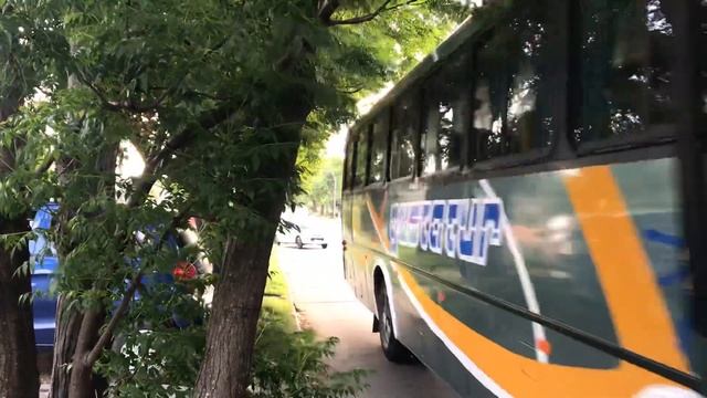 Gustatur 105 | Maxibus Lince 3.40 Volkswagen 16-210 CO 4x2 смотреть онлайн