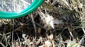 3 способа развести огонь без спичек