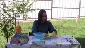 Как обработать луковицы цветов перед посадкой