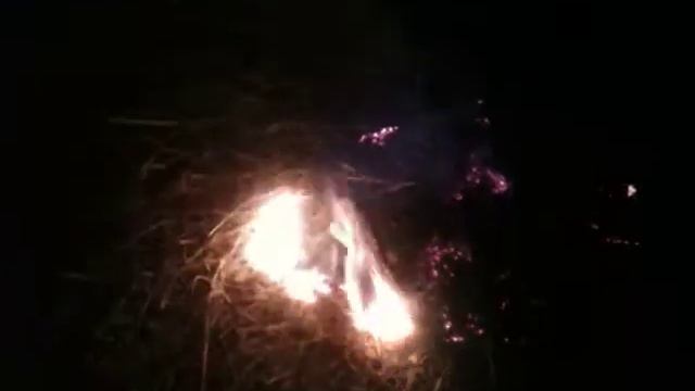 Костёр из сухой травы, в попытках согреться смотреть онлайн