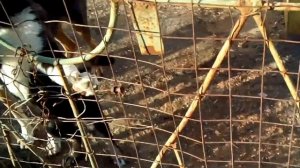 Как должен выглядеть мужчина в 50 лет