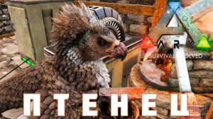 ARK: SURVIVAL EVOLVED ПТЕНЕЦ #22
