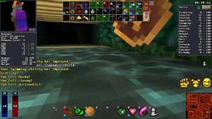 ОБЗОР Barony - достойный современный рогалик (Underground)