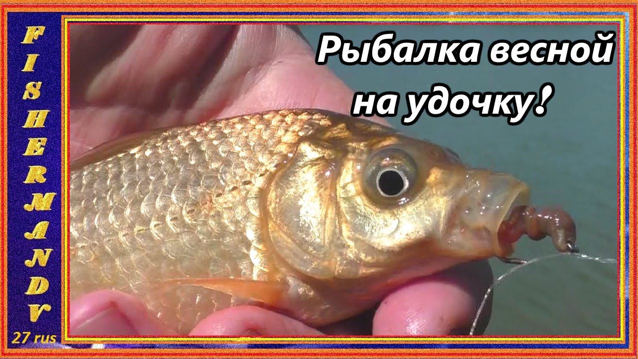 Рыбалка весной на старом карьере, отличная рыбалка на удочку 2021.