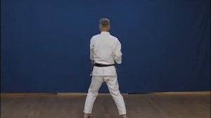ВАДО - РЮ   КАРАТЭ    !!!    ...  КАТА   .....    Jiro Otsuka sensei   Seishan