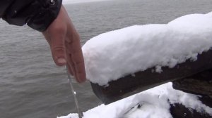 Рыбалка на ельца 20 мая 2018 поплавочная удочка рыба елец ловля ельца наживка веснянка Енисей