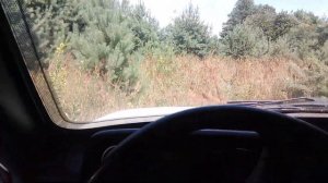 Роеловство . Очередные бродячие рои, но не мои