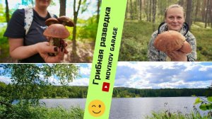 Грибная разведка 22 июня 2024. Приозерский район.