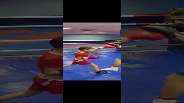 Радамир работа на лапах под руководством старшего брата Егора Посухова 13.02.2024