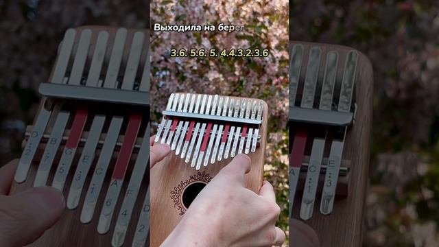 «Катюша» на калимбе #табы #разбор #туториал #kalimba ЗАКАЗАТЬ КАЛИМБУ - В ОПИСАНИИ #песнивоенныхлет