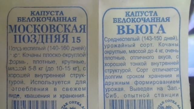 ПОЧЕМУ ИМЕННО РАННИЕ И ПОЗДНИЕ СОРТА КАПУСТЫ НУЖНО СЕЯТЬ  В ПЕРВУЮ ОЧЕРЕДЬ? Ольга Чернова.