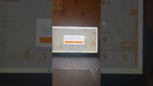 Что делать если в страт петс пишет ошибку 13?