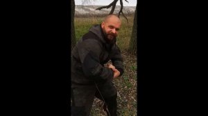 Что делать если на вас напал медведь