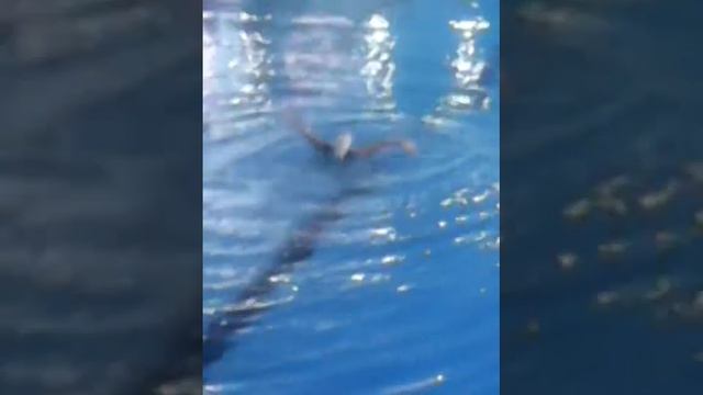 Синхронное плавание кубок ростова на дону смотреть онлайн