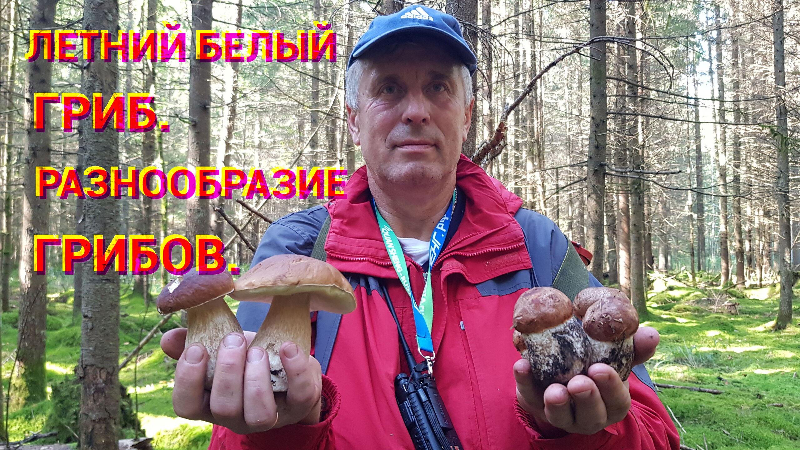 СБОР ГРИБОВ В КОНЦЕ ЛЕТА 2021. Разнообразие грибов. Грибная банда, поехать за грибами.mp4