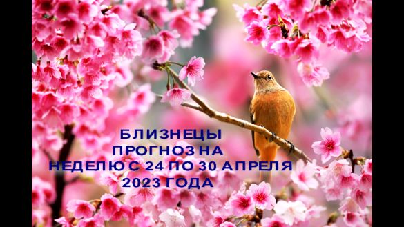 БЛИЗНЕЦЫ ГОРОСКОП НА НЕДЕЛЮ С 24 ПО 30 АПРЕЛЯ 2023 ГОДА
