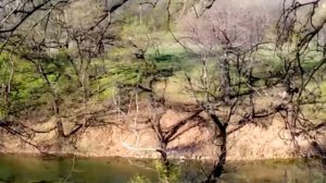 мое село,моя золотаревка