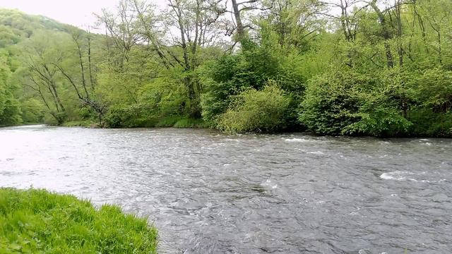 Весенняя река – шум воды – пение птиц