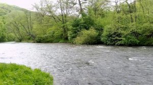Весенняя река – шум воды – пение птиц