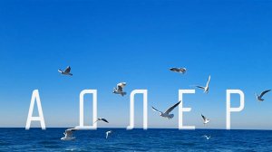 Адлер февраль 2024