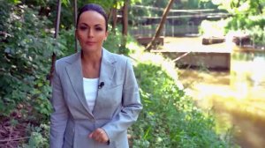 Расследованию подлежат. Дело № 3 «Портрет как улика»