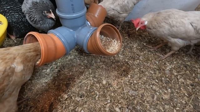 Бункерная кормушка для кур своими руками