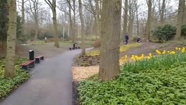 Keukenhof. Сказочный цветочный парк .Кекенхоф. Цветочный парк .Открытие парка "4месячный"