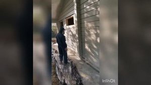 Как выполнить покраску деревянного дома укрывной краской.