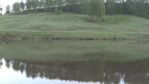 О работе рыбнадзора в период двухмесячника по охране нерестующих рыб.