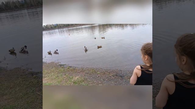 прогулка 10мая'24