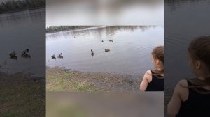 прогулка 10мая'24