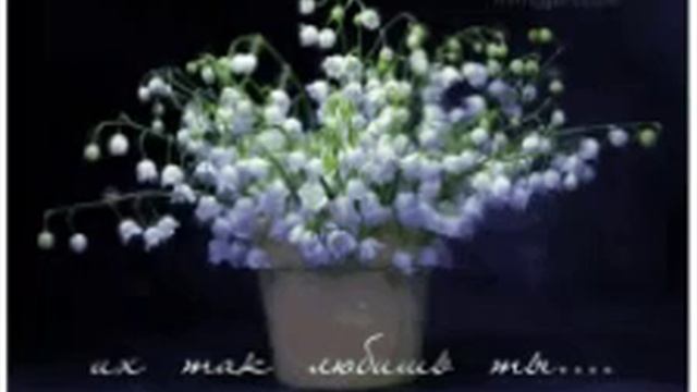 гиф-цветы(3) смотреть онлайн