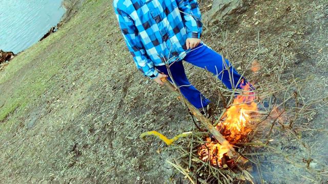 🦢 В Прощёное воскресенье гуляем у реки Едим лютики Садим ёлочку Разводим кострик Дышим весной Лебед смотреть онлайн