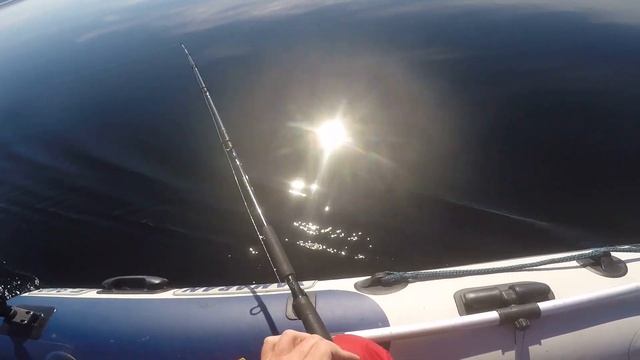 Как ловить с мини планерами? Показываю весь процесс роспуска от начала до конца. смотреть онлайн