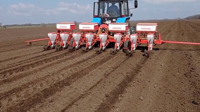 Начинаем сеять подсолнечник ??? смотреть онлайн