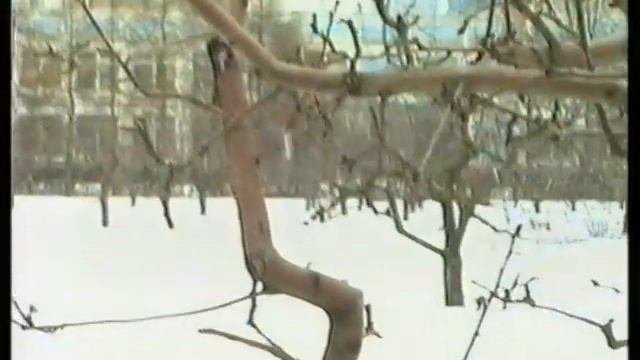 Цветоводство и озеленение.